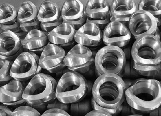 Weldolet Olet Pipe Fittings